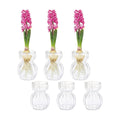 Avocado Hyacinth Bulb Vase 5''(H) Small Vases Table Clear 6pcs Glass