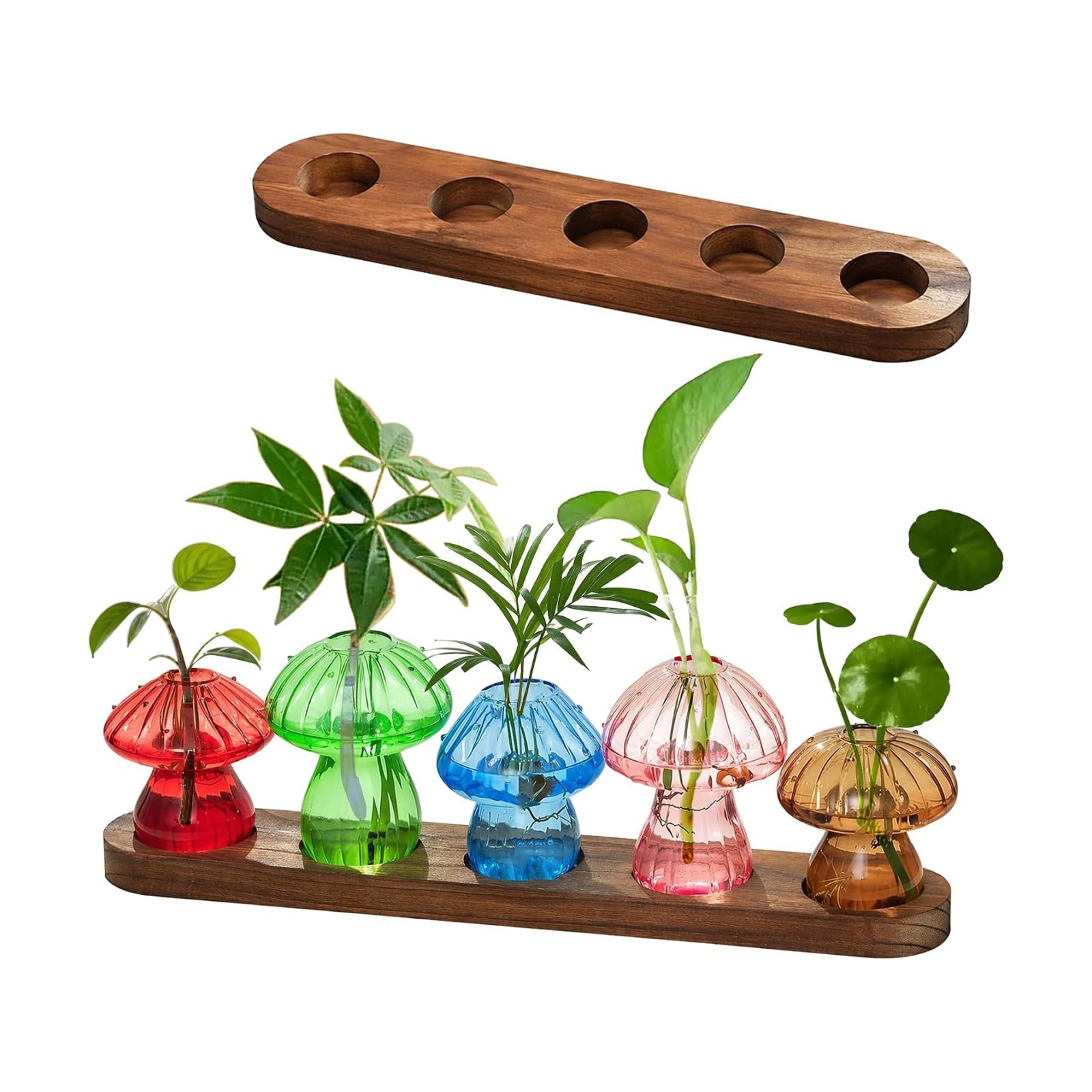 Mushroom Glass Vase Set of 5, Colored Propagation Station, Mushroom Planter | High Borosilicate Glass for Home Office