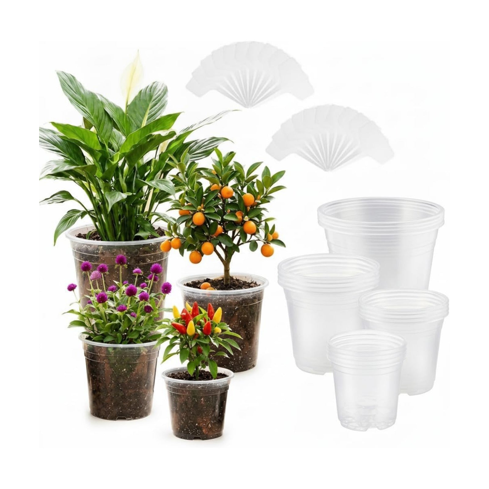 10/7/6/5 inch Clear Nursery Pots with Drainage Holes, 16 Pack Large Clear Plastic Pots with Plant Labels, Nursery Pots