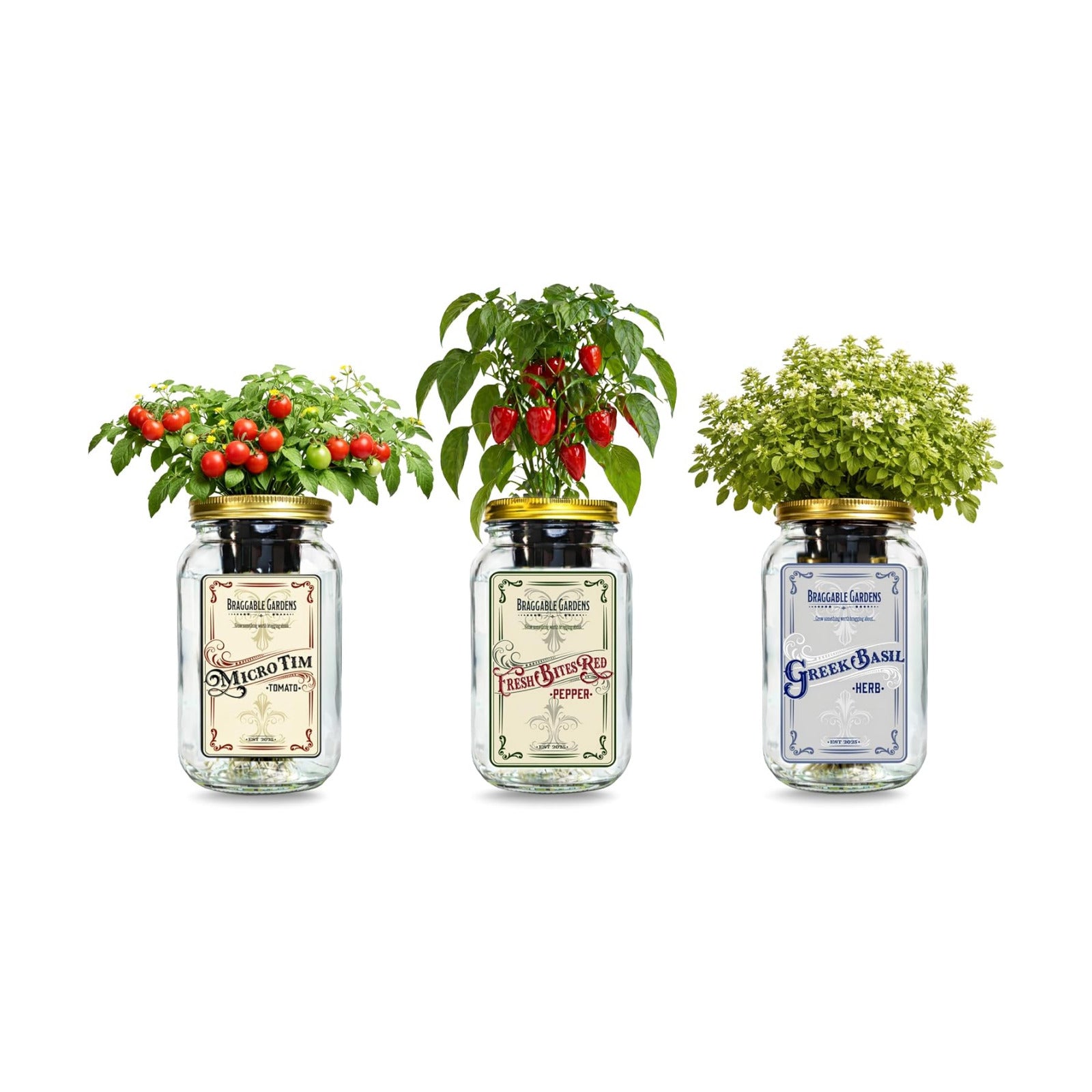 Italian Pizza Garden Mason Jar Kit (3 Pack) – Tiny Tim Tomato, Greek Basil & Mini Red Bell Pepper – Indoor Hydroponic