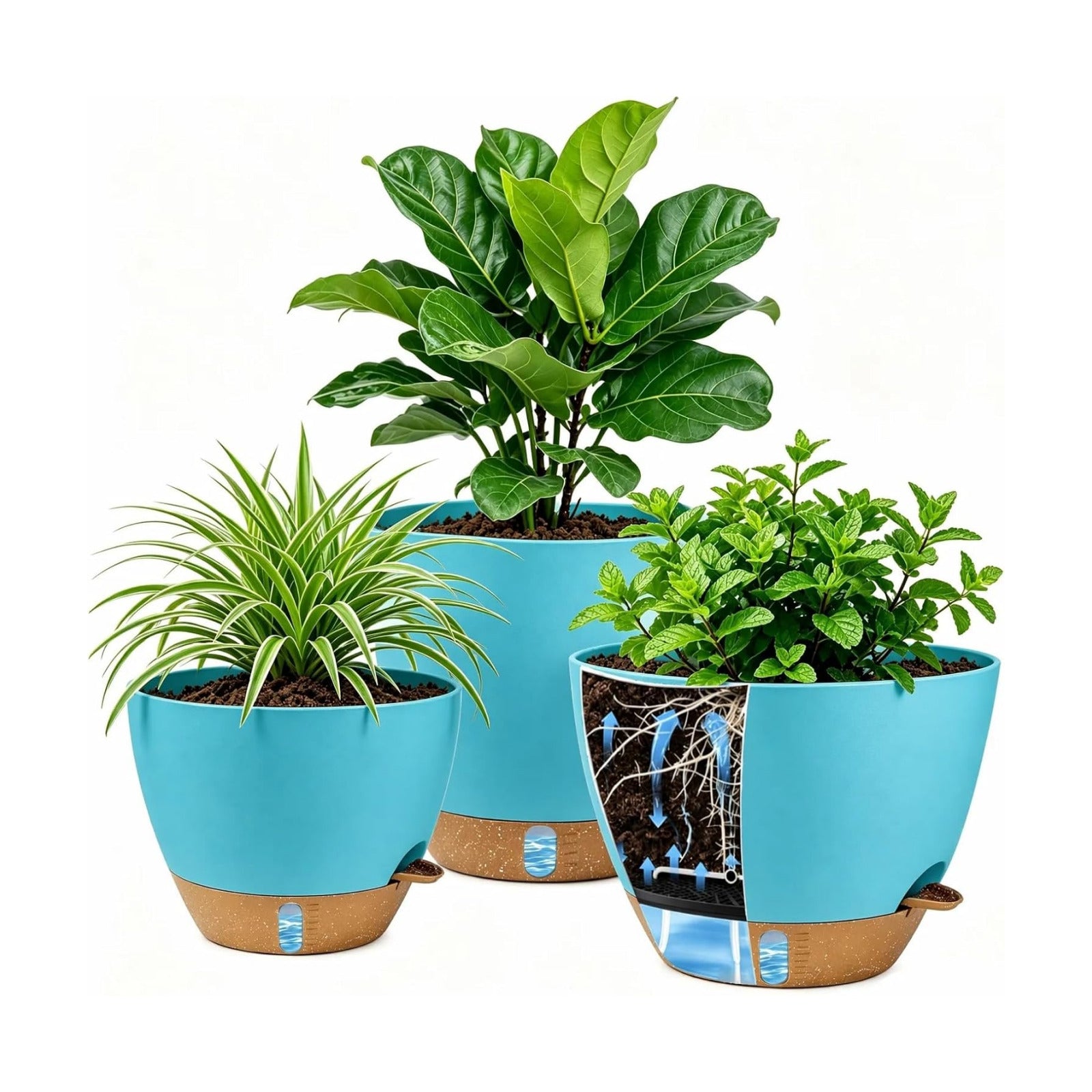 Ecolley Plant Pots 8/10/12 Inch Self Watering Pots, Set of 3 Plastic Planters with Drainage Holes and Saucers,Plastic