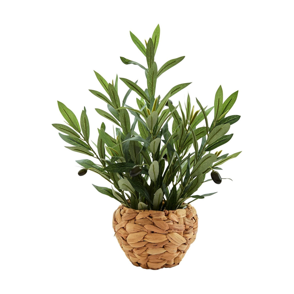 AlphaAcc Fake Potted Plant Small Olive Water Hyacinth Mediterranean Decor