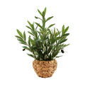 AlphaAcc Fake Potted Plant Small Olive Water Hyacinth Mediterranean Decor