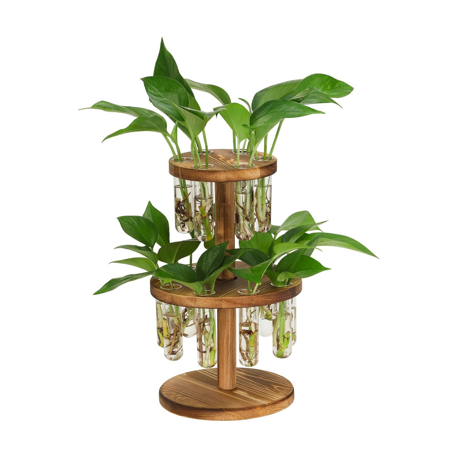 Plant Propagation Station, Plant Terrarium With Wooden Stand, 15 Tube Vases | Retro Rotation Plant Stand for