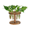 Plant Propagation Station, 9 Propagation Tubes with Wooden Stand