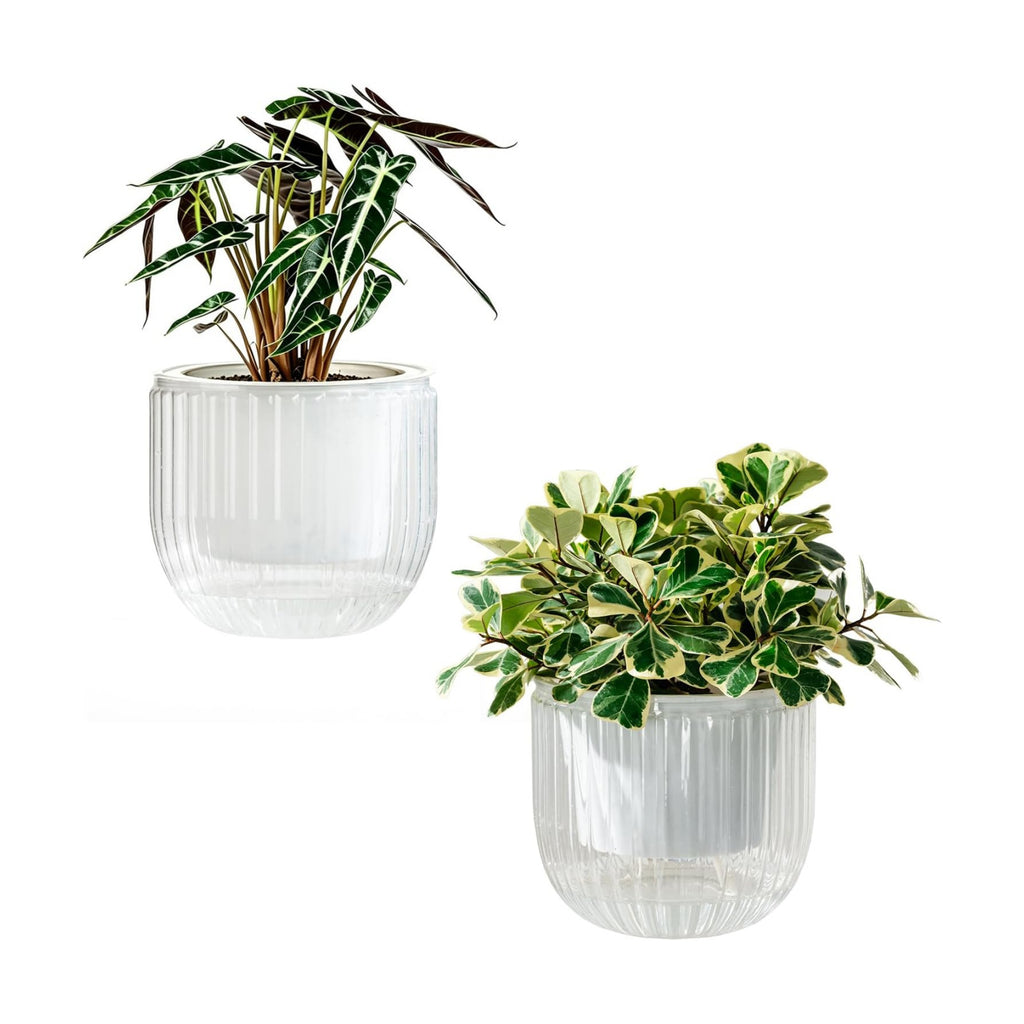 Melphoe Self Watering Pots for Indoor Plants Planter, 8.3 Inch 2 Pack Planters Self Watering Plant Pots for Flower, Houseplants, Succulent, African Violets and Cactus with Drainage