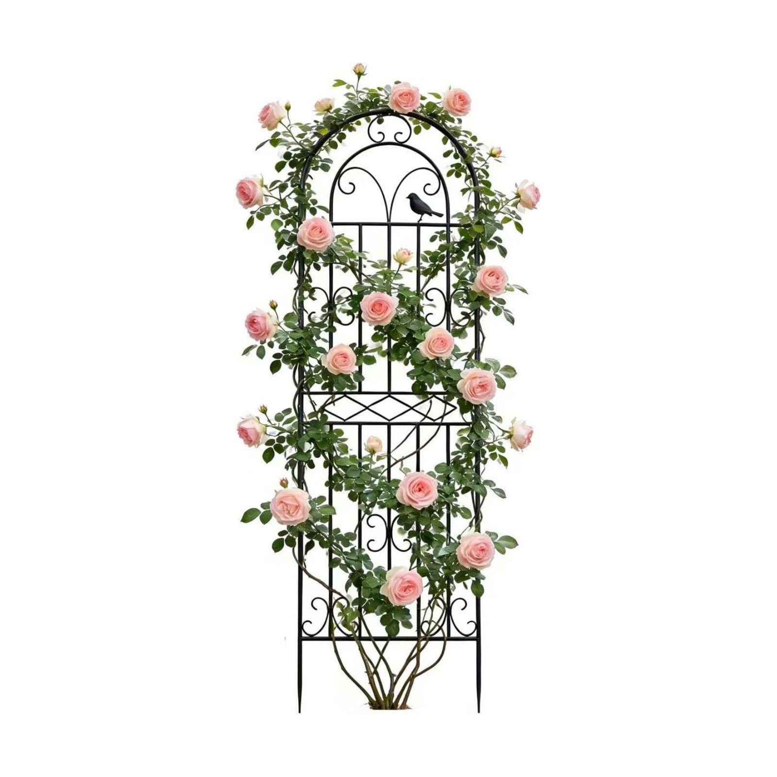 1 Pack 59"x19.7" Metal Gardon Trellis for Climbing Plants Flowers Outdoor, Rustproof, Heavy Duty, Black Coating Plant