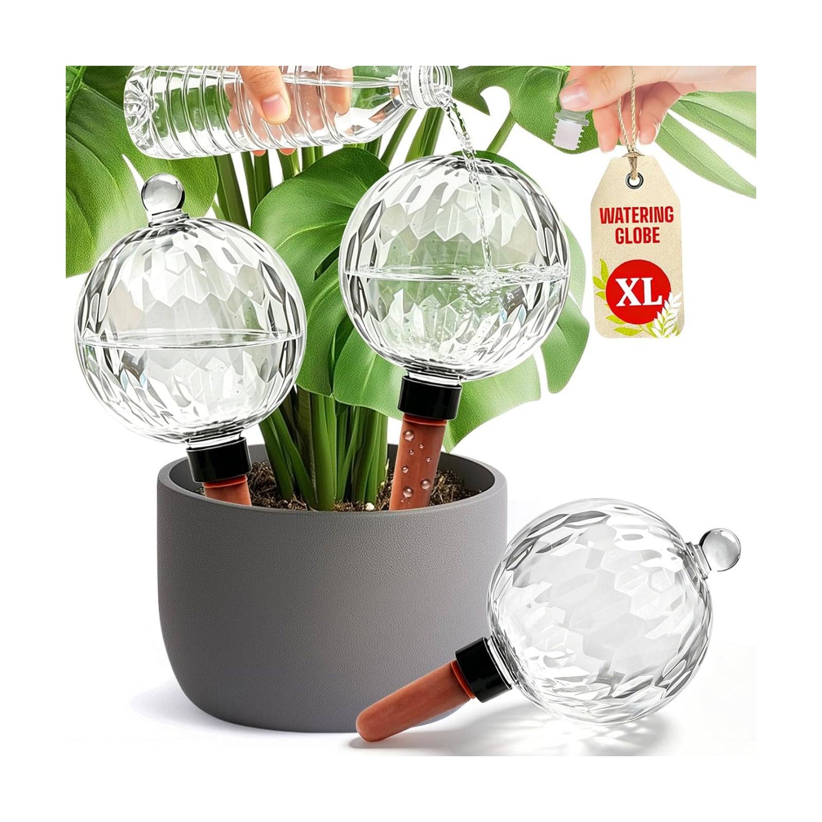 Plant Watering Globes, 26oz Extra Large Top Fill Self Watering Globes, Water Globes, Plant Water Bulbs, Watering Bulbs