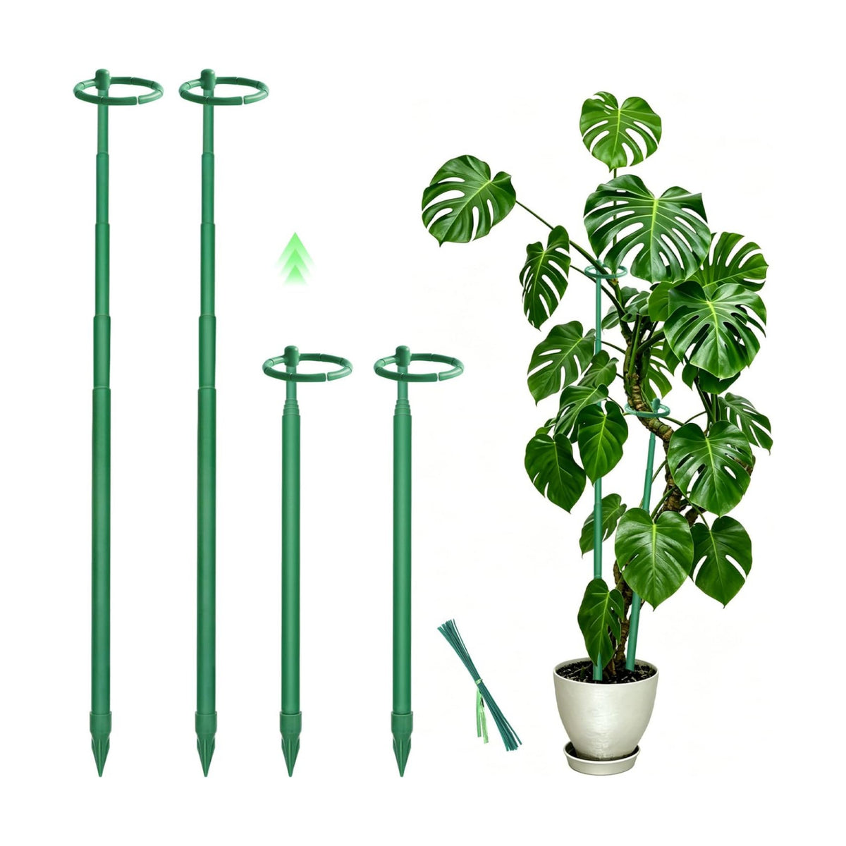 4Pcs Telescoping Plant Stakes 12.5-48.4IN Adjustable Monstera Plant Support