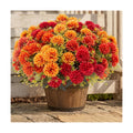 lovemoon 12 Pcs Artificial Mums for Outdoors, Fake Fall Flowers for Autumn