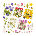 Evatage 100 Pcs Real Dried Pressed Flowers for Resin Crafts