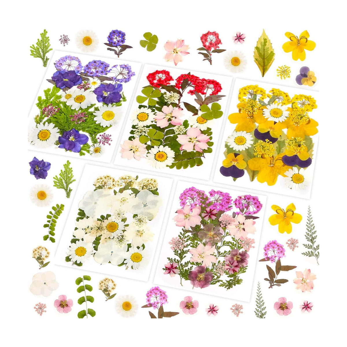 Evatage 100 Pcs Real Dried Pressed Flowers for Resin Crafts