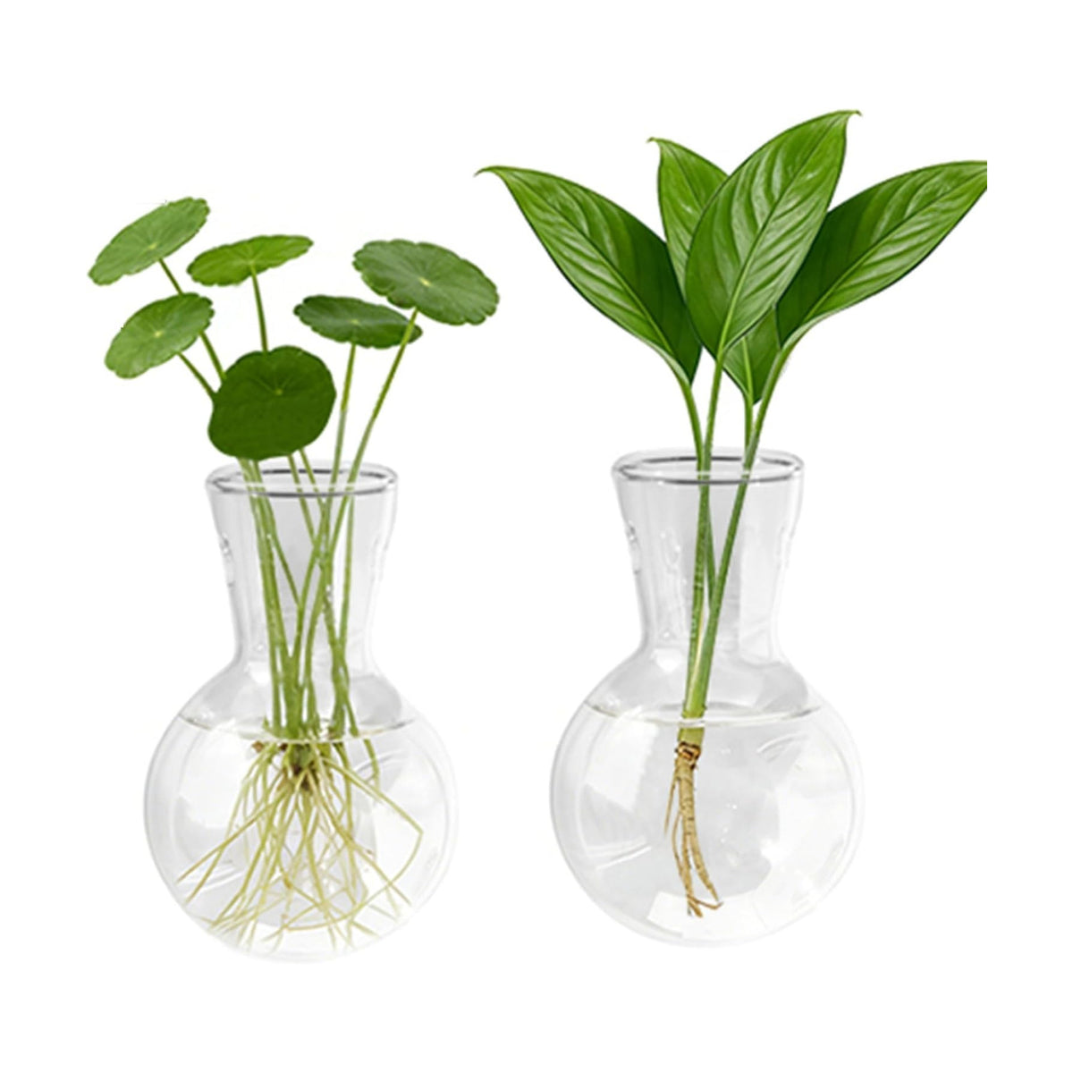 Propagation Station Accessories,2 Pack with Holes Glass Bulb vases