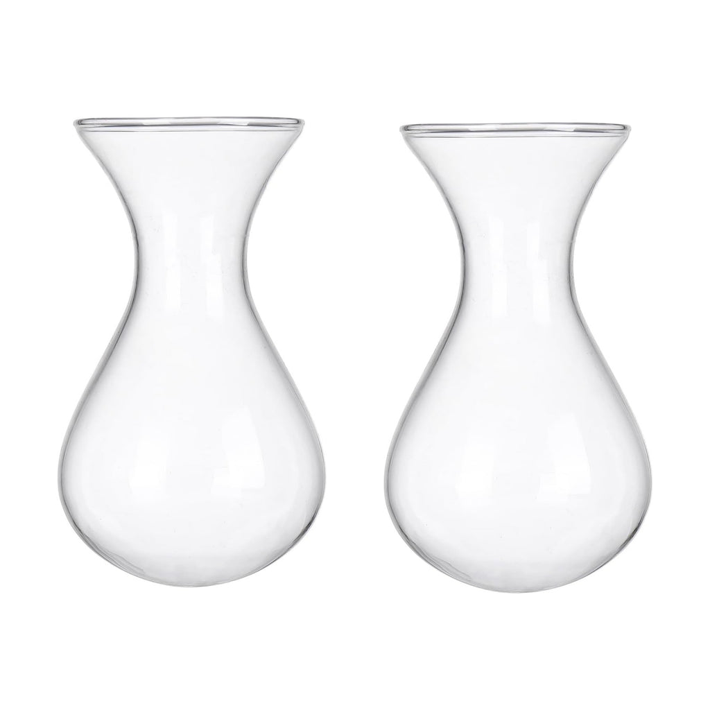 Plant Propagation Station Accessories, 2 Pack Glass Hyacinth vase