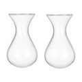 Plant Propagation Station Accessories, 2 Pack Glass Hyacinth vase