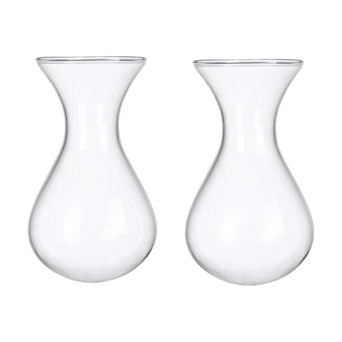 Plant Propagation Station Accessories, 2 Pack Glass Hyacinth vase
