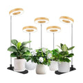 LBW Grow Lights for Indoor Plants, Full Spectrum Halo Grow Light with Base