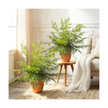 2 Pack Artificial Fern Plants in Pots Artificial Boston Ferns Potted Plants | Faux Fern Bush Plant Shrubs Greenery for