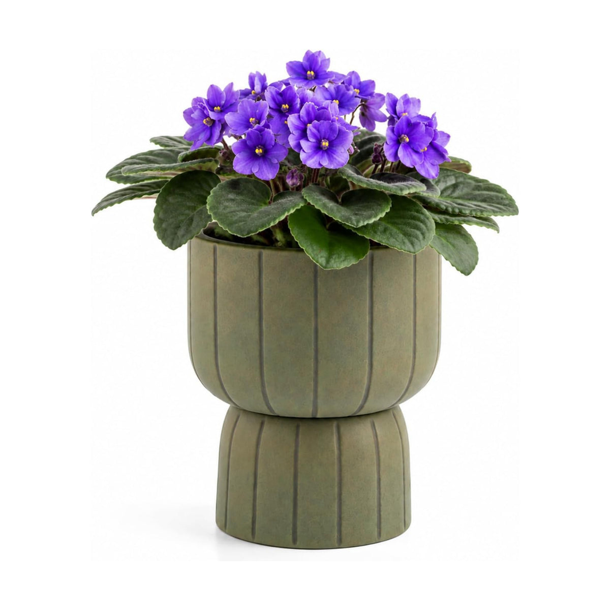 Self Watering Pots for Indoor Plants, 6 Inch Ceramic African Violet Pot