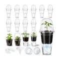 15 Pack 3.5" Self Watering Propagation Pots Clear Plastic | Nursery Cups with Humidity Dome, for Alocasia Corms