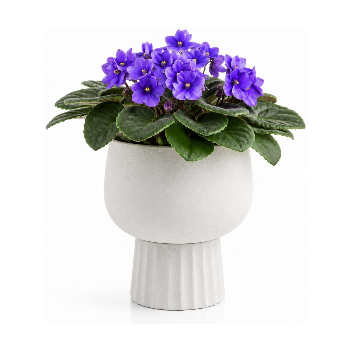 Self Watering Pots for Indoor Plants, 6 Inch Ceramic African Violet Pot