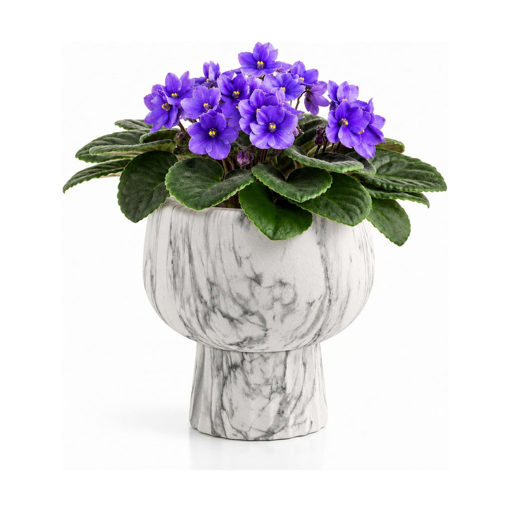 Self Watering Pots for Indoor Plants, 6 Inch Ceramic African Violet Pot