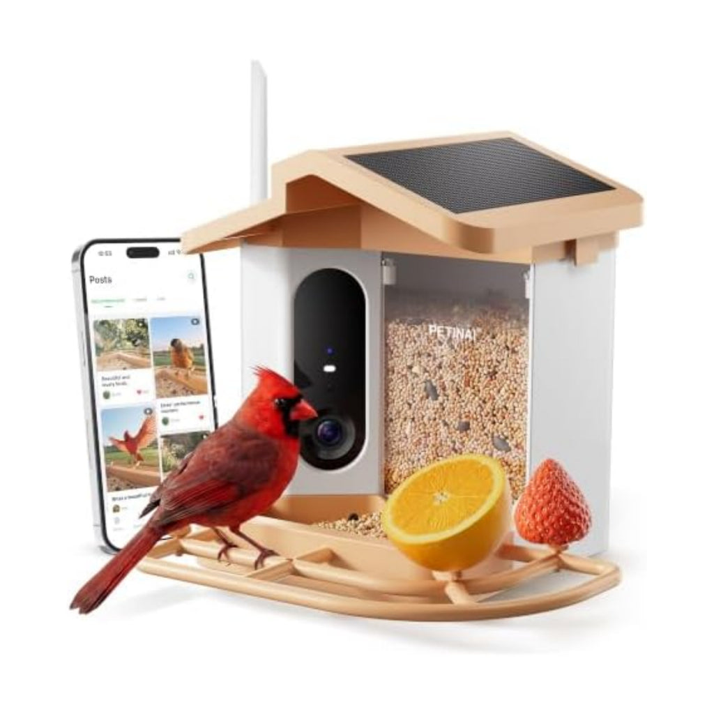 Smart Bird Feeder with 2K Camera Solar Powered, AI Identify Bird Species
