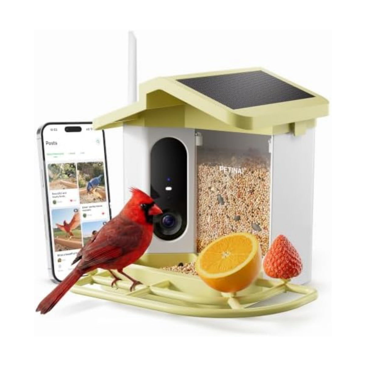 Smart Bird Feeder with 2K HD Camera -Solar Powered,AI Identify Bird Species