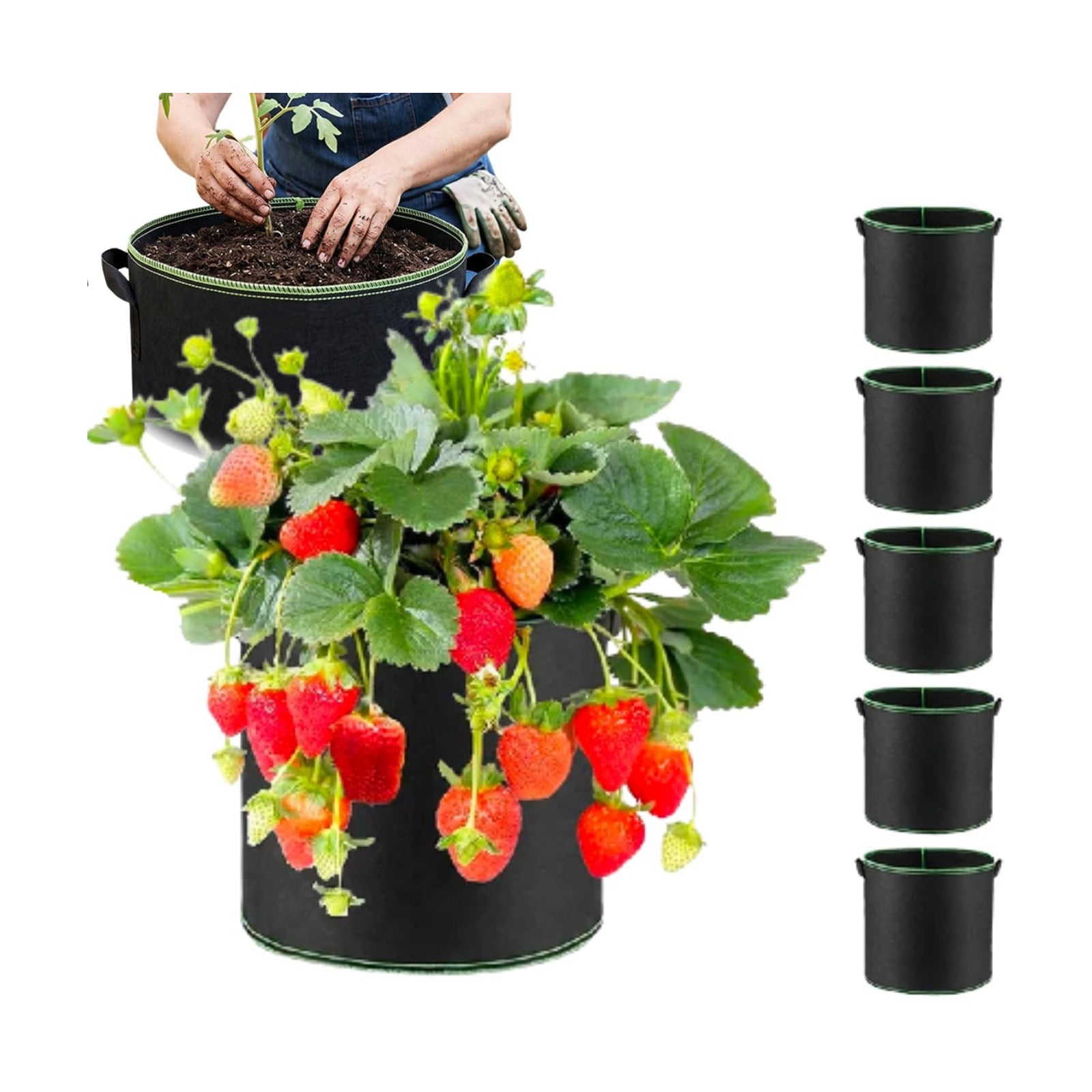 Thickened Fabric Grow Bags with Handles, Heavy Duty 5 Gallon&10 Gallon Reusable Plant Grow Bags for
