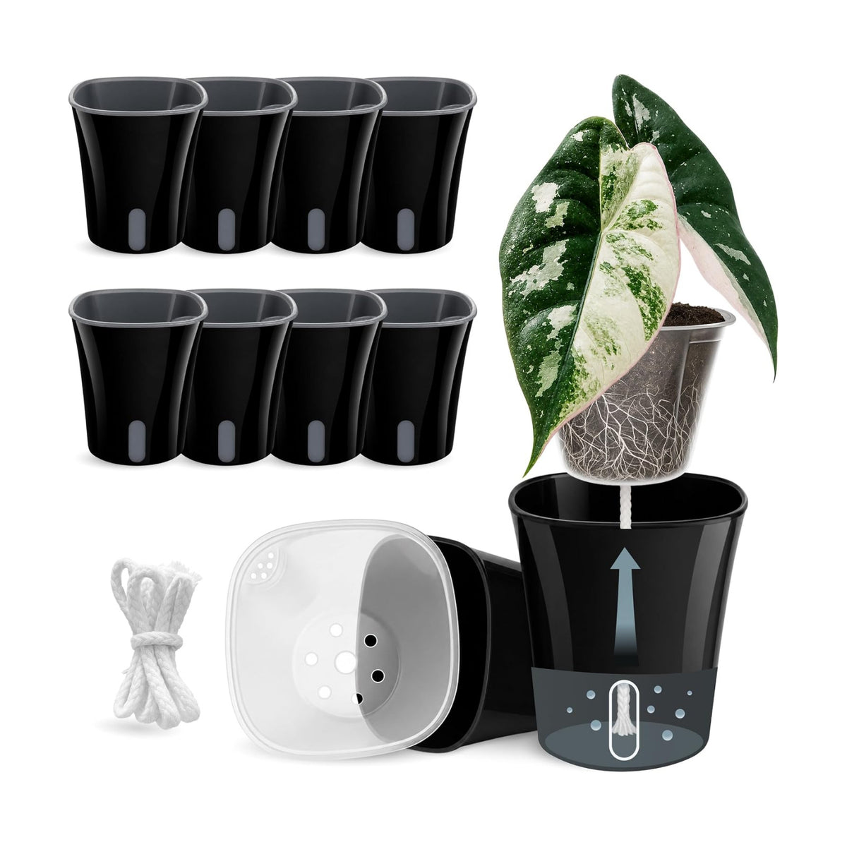 10 Pack 3" Self Watering Pots for Indoor Plants, Clear Inner Cup, Small Black Plastic Planters, Water Level Indicator, Drainage Holes, Extra 3ft Wick, Cuttings,Seedlings,Herb,African Violet
