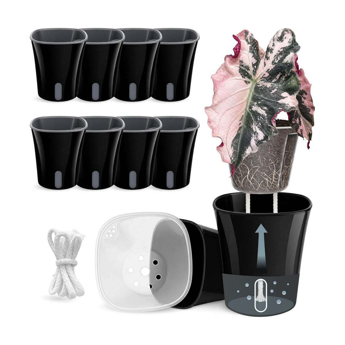8 Pack 4" Self Watering Pots for Indoor Plants, Clear Inner Cup, Small Black Plastic Planters, Water Level Indicator, Drainage Holes, Extra 3ft Wick, Cuttings,Seedlings,Herb,African Violets