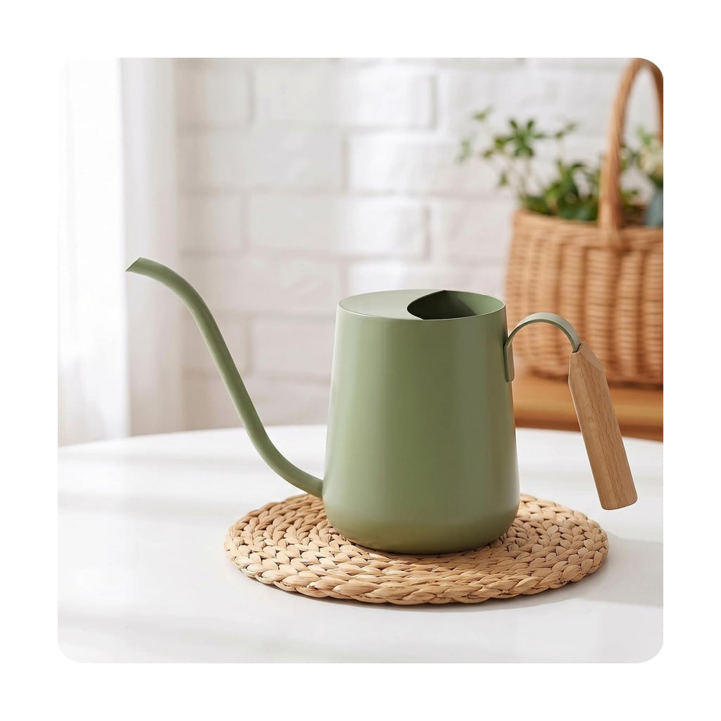 Baffect Watering Can Indoor Plants with Long Spout, 1L / 35oz (Sage Green) | Small Metal Watering Pot For Houseplant
