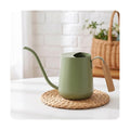 Baffect Watering Can Indoor Plants with Long Spout, 1L / 35oz (Sage Green) | Small Metal Watering Pot For Houseplant