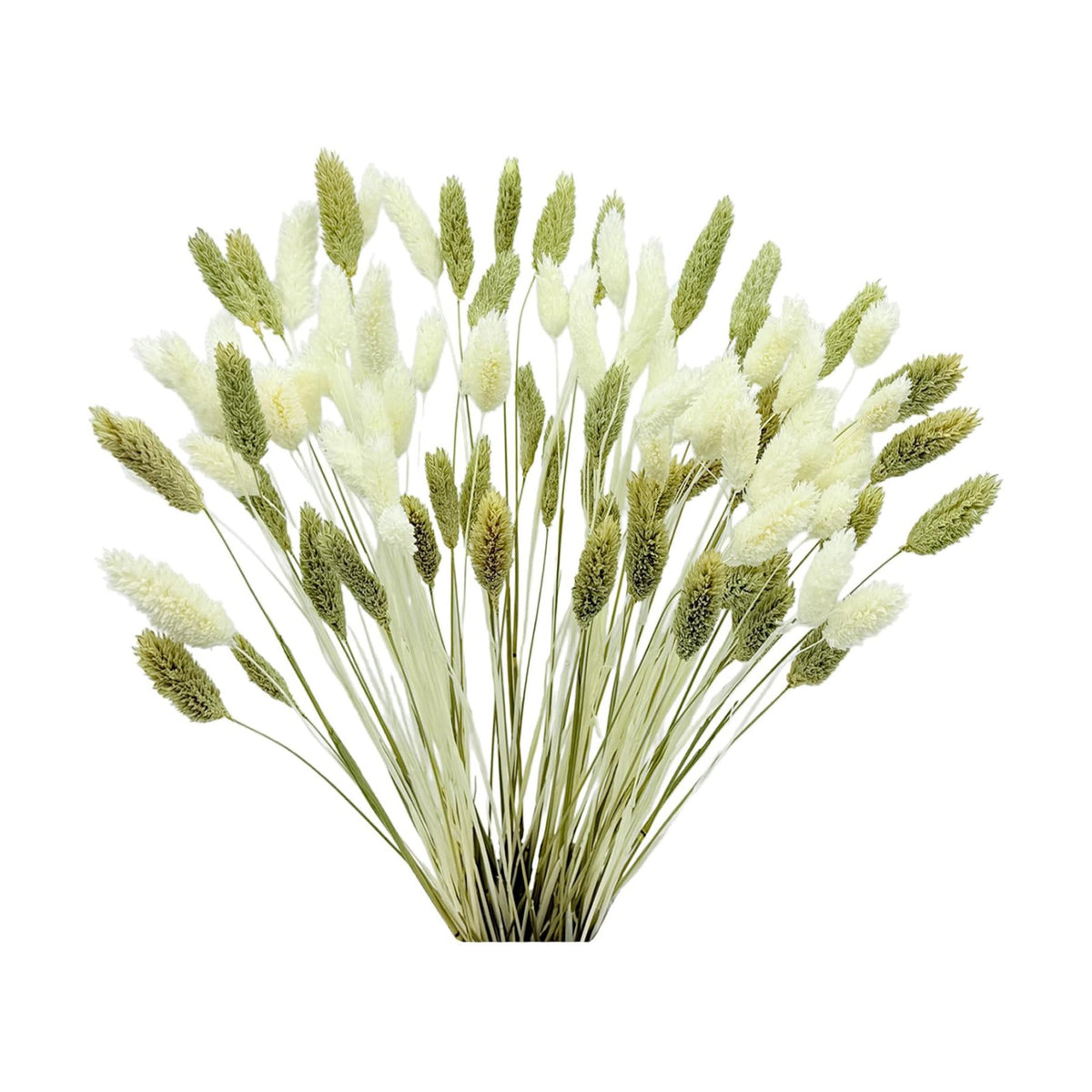 100Pcs Fall Dried Flowers Stems Natural Dried Pampas Grass Bouquets White and Green Gem Grass Artificial Dried Plants Boho Floral for Autumn Vase Filler Floral Arrangements Home Table Wedding