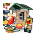 Smart Bird Feeder with Camera Solar Powered 2K Video AI Identify 32GB Card