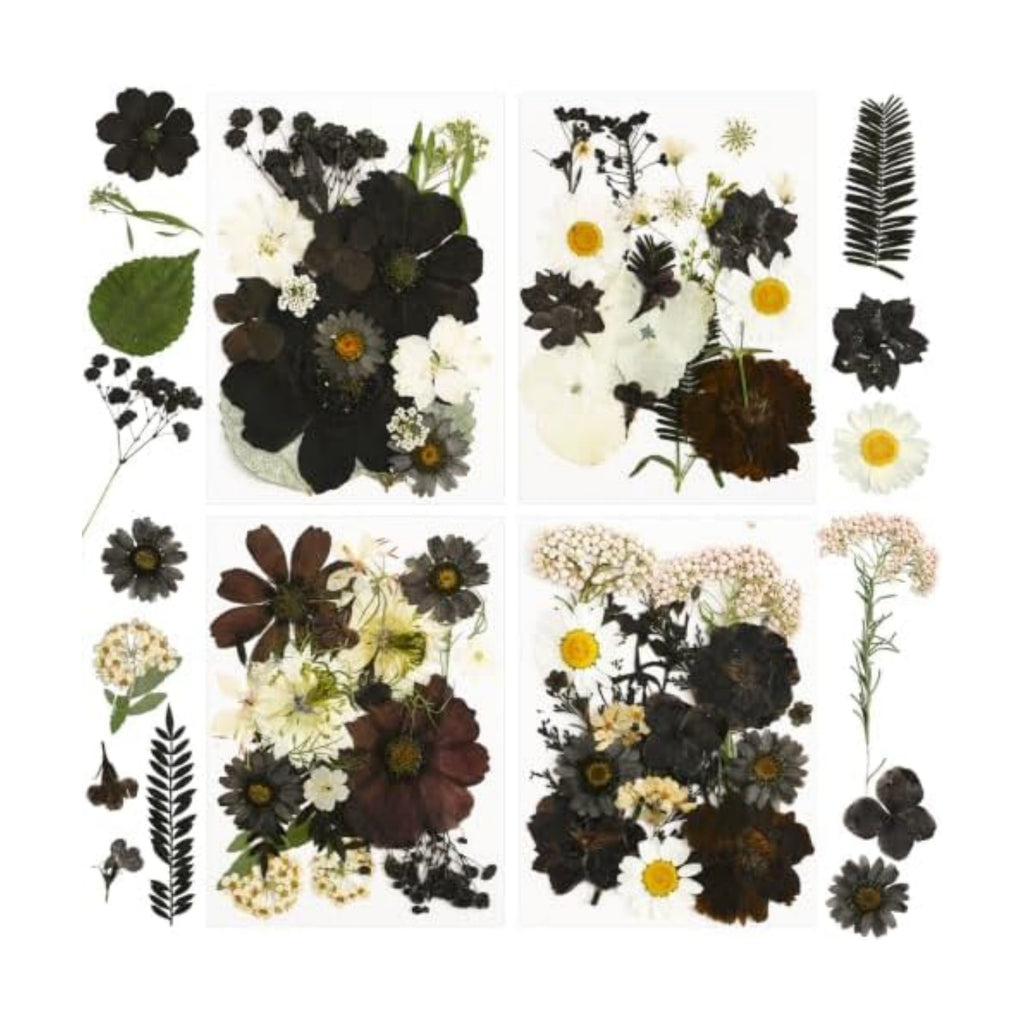 Augshy Halloween Black Pressed Dried Flowers for Resin Molds Crafts
