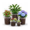 MIXC Clear Nursery Pots with Drainage Holes, 8/6/5/4/3.5 Inch 20 Pack