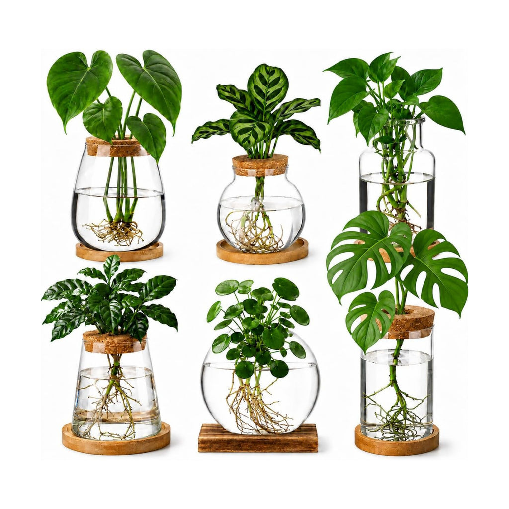 6 Pcs Plant Propagation Station Set, Glass Propagation Vases with Wooden Lids and Bamboo Bases, Plant Propagation Jars