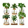 6 Pcs Plant Propagation Station Set, Glass Propagation Vases with Wooden Lids and Bamboo Bases, Plant Propagation Jars
