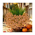 15 PCS Artificial Fall Flowers for Outdoors, Six-Petaled Faux Silk Mums
