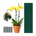 20Pcs 16" Green Plant Stakes with 20 Adjustable Reusable Clips, Bendable Tall Sticks, Support Heavy Orchid Rose Peony Single Stem Flowers for Indoor Outdoor Potted Plants