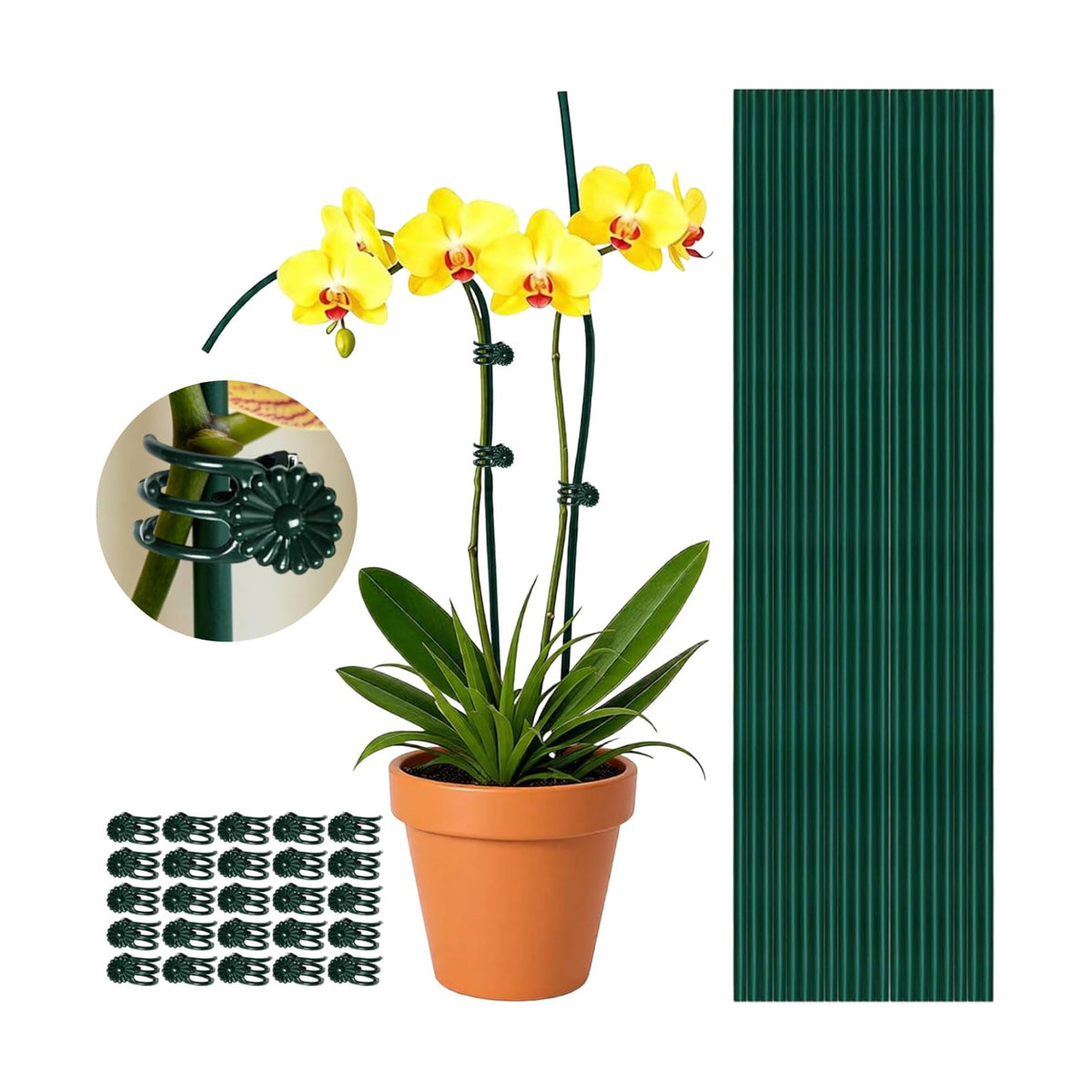 20Pcs 16" Green Plant Stakes with 20 Adjustable Reusable Clips, Bendable Tall Sticks, Support Heavy Orchid Rose Peony Single Stem Flowers for Indoor Outdoor Potted Plants