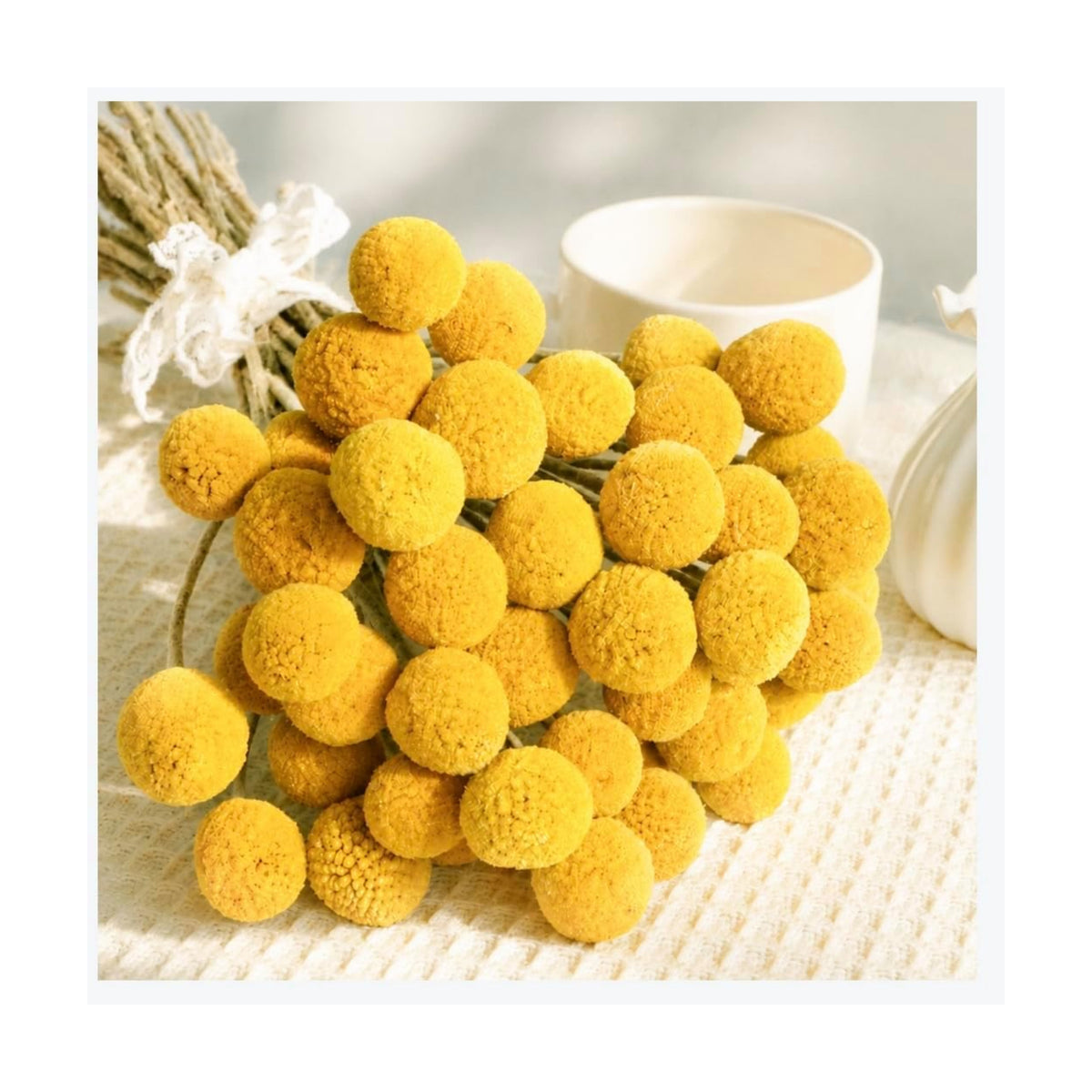 30PCS Dried Billy Balls Flowers for Flower Arrangements & Wedding Decor