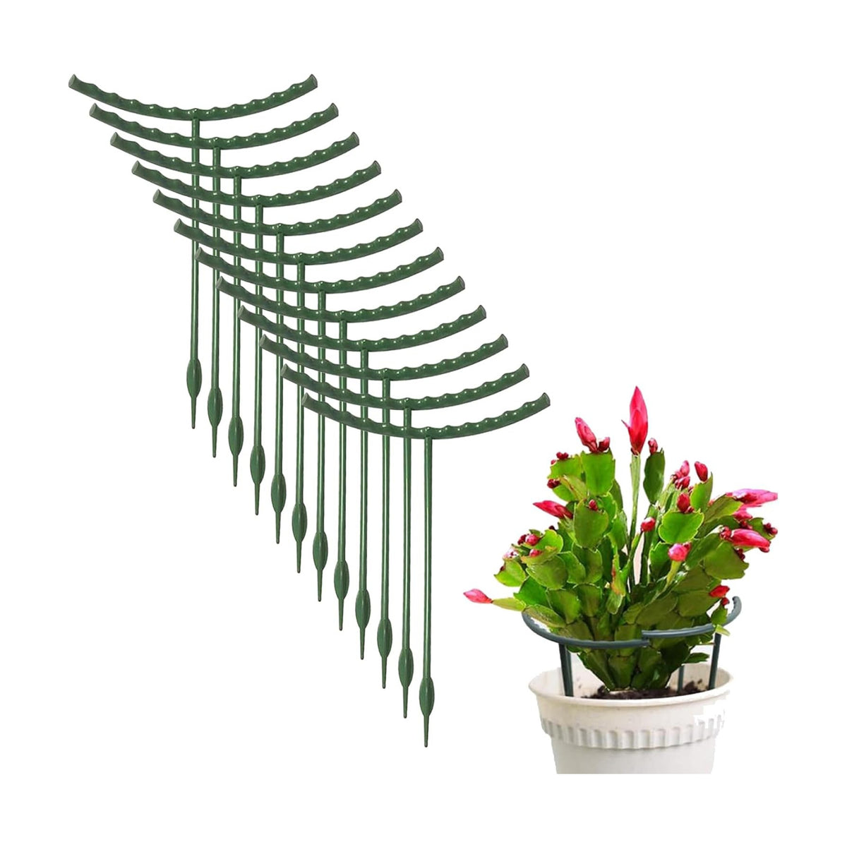 Mwellewm Plant Stakes Small Plant Supports for Indoor Plants Holder Sticks
