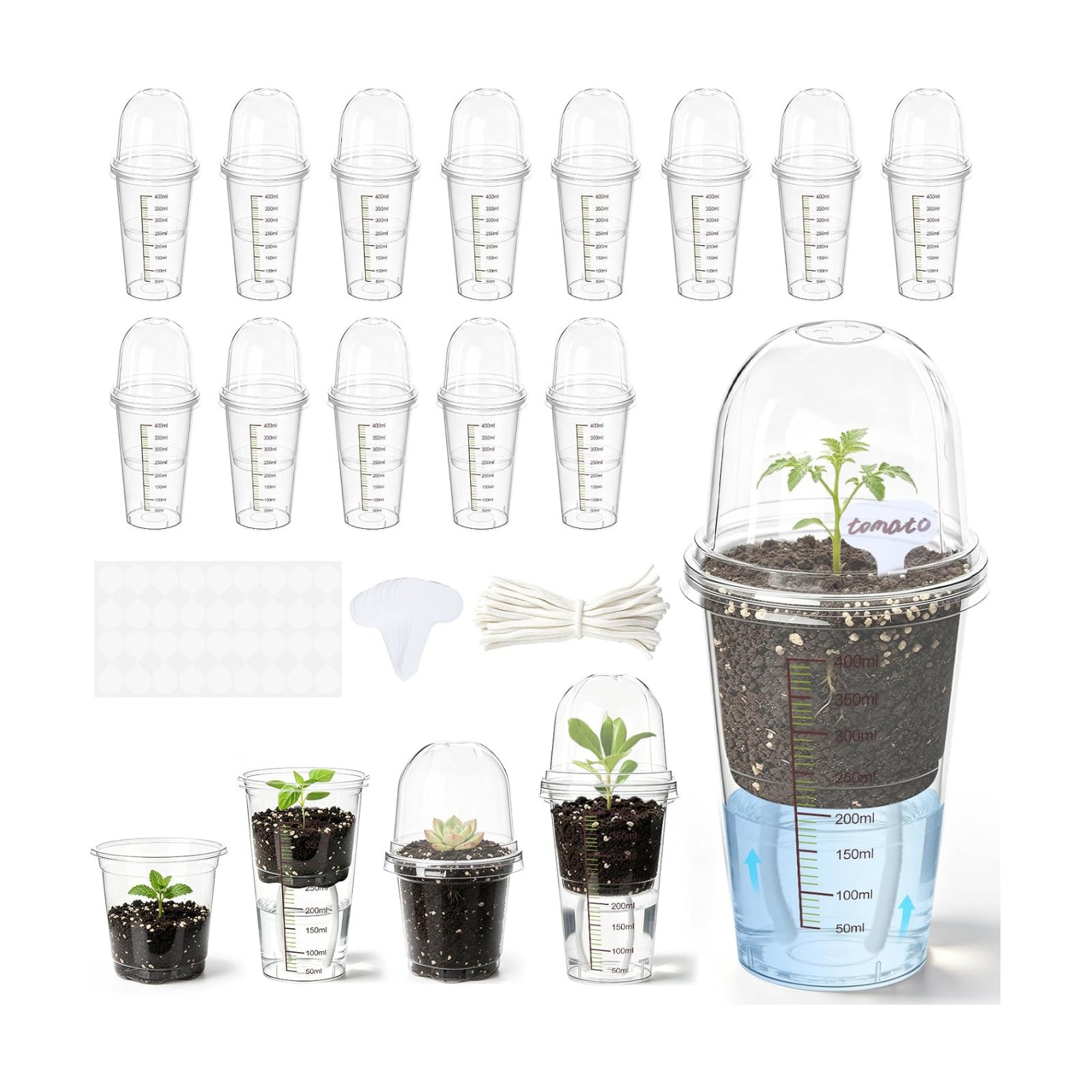 30 Pack 3.5" Self Watering Propagation Pots, Seed Starter Cups with Dome | Large Dual-Layer Clear Pots, Vent Dome