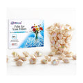 160-Piece Ivory White AB Acrylic Fake Ice Rocks, Vase Filler for Home Decor