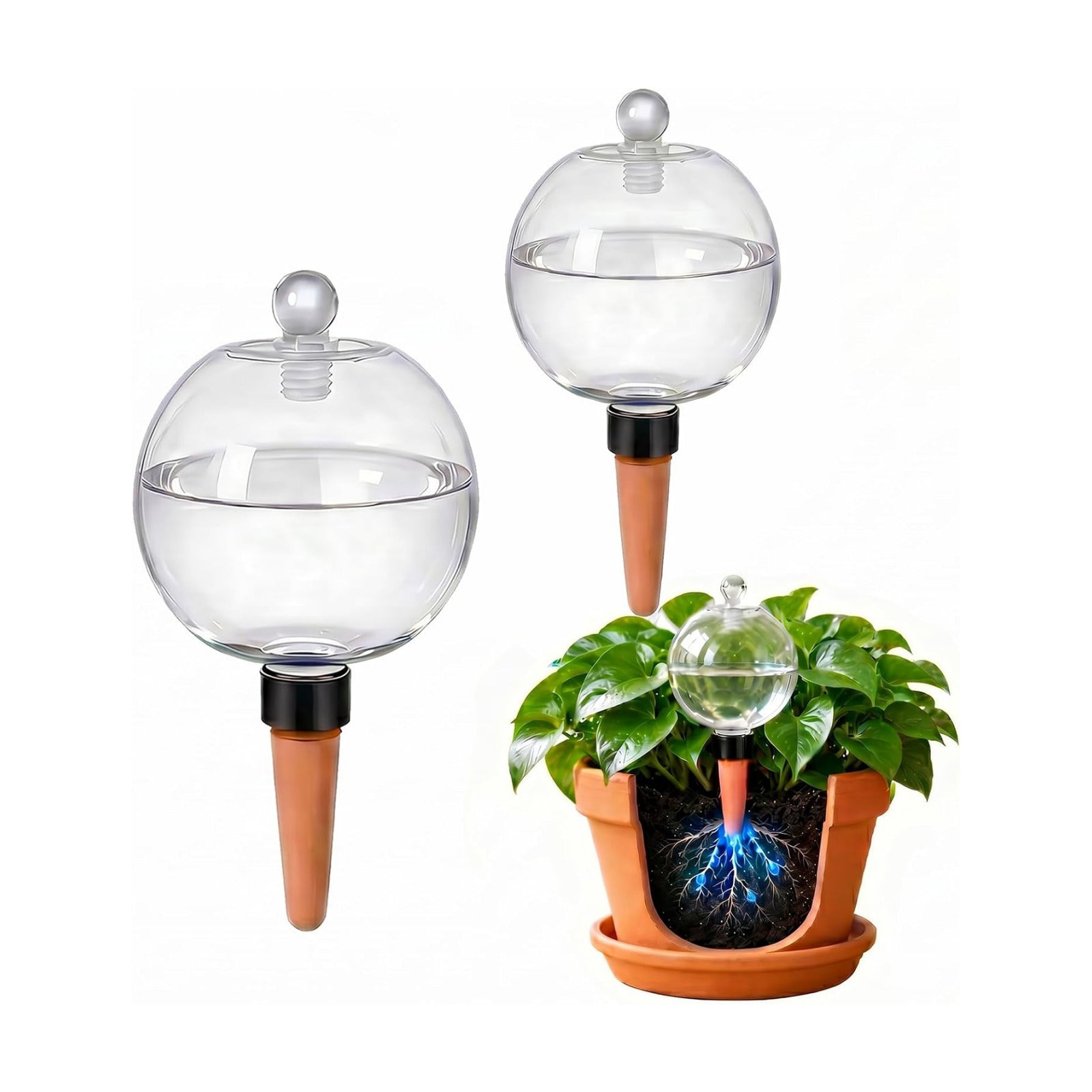 2 Pack 26 oz Extra Large Plant Self Watering Globes to 3 Weeks Watering | Shuomeng Extra Large Self Watering Globes