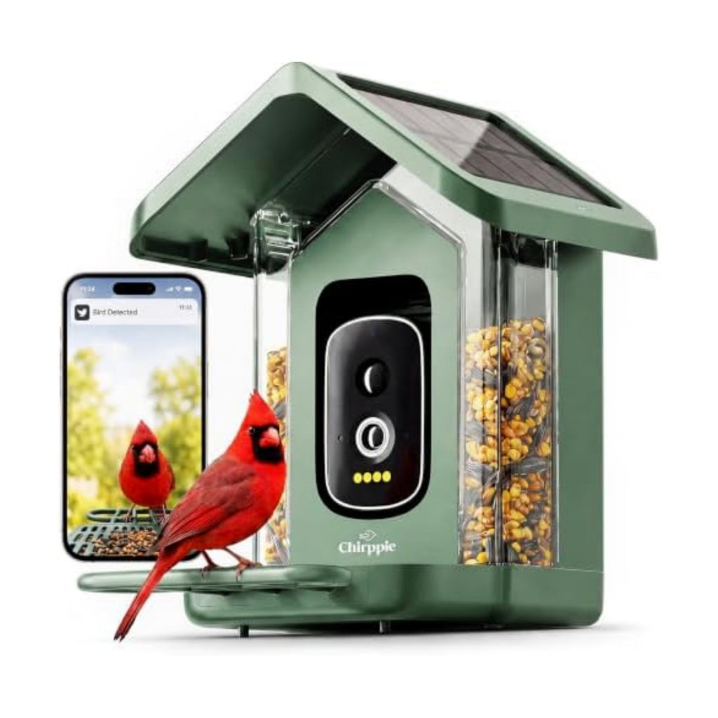 Solar Powered Smart Bird Feeder with Camera — 2K HD Video Bird Feeder with AI Bird Identification, Wireless 2.4 GHz WiFi Outdoor Birdhouse Camera with Live Feed — Gift for Bird Lovers (Green)