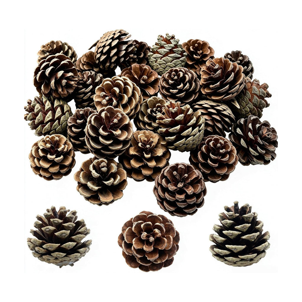 DoubleWood Natural Pine Cones, 2.3", 20Pcs, Rustic Large PineCones