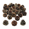 DoubleWood Natural Pine Cones, 2.3", 20Pcs, Rustic Large PineCones